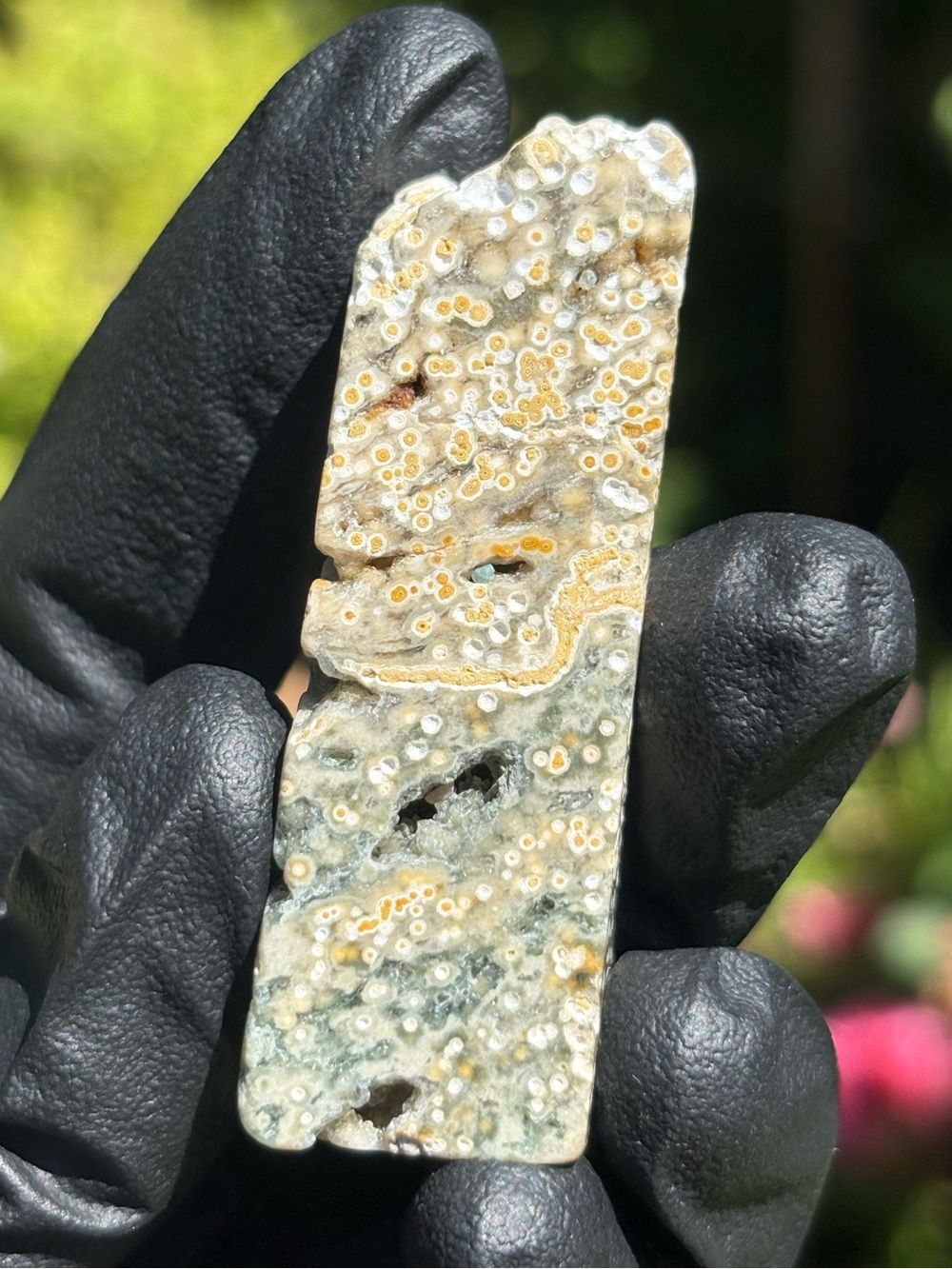 Druzy Ocean Jasper Freeform - Sea Jasper - Orbicular Jasper